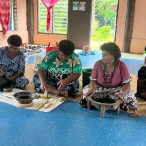 Full Day Coral Coast Tour