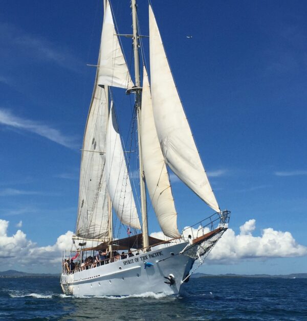 Tivua Island Day Sail Experience
