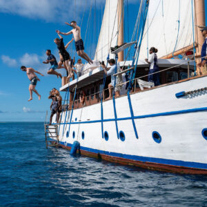 Whale's Tale Day Cruise - The Original Since 1984
