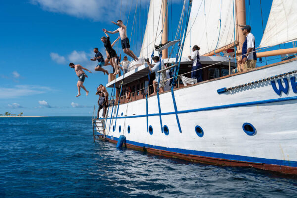 Whale's Tale Day Cruise - The Original Since 1984