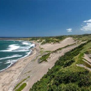 Half Day Coral Coast Tour